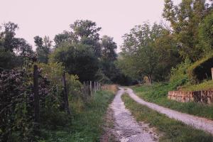 Przyroda w pobliżu tego domu wakacyjnego