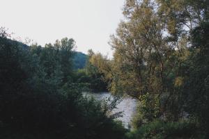 Przyroda w pobliżu tego domu wakacyjnego
