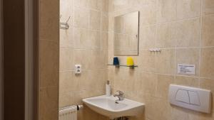 La salle de bains est pourvue d'un lavabo et d'un miroir. dans l'établissement Pension Helena Honesová, à Horská Kvilda