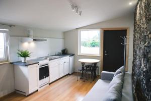 a kitchen and living room with a couch and a table at Aizpuri Rose View in Nīca