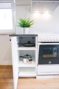 a small white kitchen with a stove and a plant at Aizpuri Rose View in Nīca +9 photos