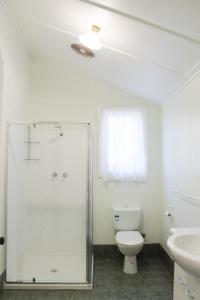 a bathroom with a toilet and a sink and a shower at Splendid Wren Cottage in Deeside