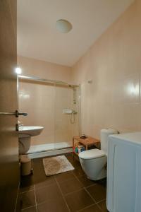 ein Bad mit einem WC, einem Waschbecken und einer Dusche in der Unterkunft Gozo Spacious Apartment with Large Communal Pool in Qala