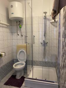 W łazience znajduje się toaleta i przeszklony prysznic. w obiekcie Villa Sekki w Krku