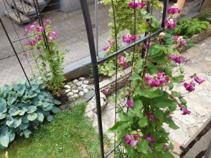 Vonkajšia záhrada v ubytovaní Wohnung mit Charme in Pinsdorf