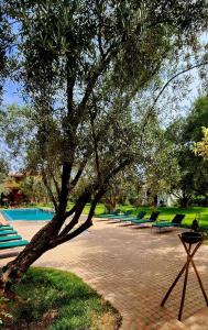 a group of lounge chairs under a tree next to a pool at GreenLife Marrakech in Marrakech