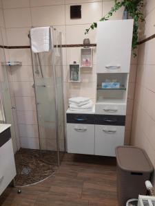 een badkamer met een douche en witte kasten bij Wohnung mit Charme in Pinsdorf in Pinsdorf +21 foto's