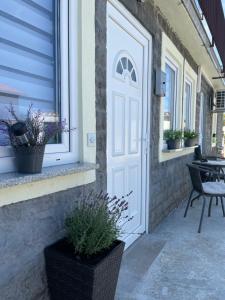 Una puerta blanca en una casa con plantas en una maceta. en Apartma Lavanda, en Koper