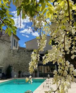 une piscine avec des fleurs blanches devant un bâtiment dans l'établissement Hôtel Gounod, à Saint-Rémy-de-Provence