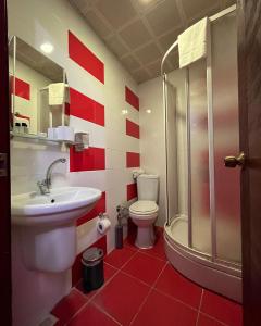 een badkamer met een wastafel, een toilet en een douche bij Red White Hotel in Istanbul