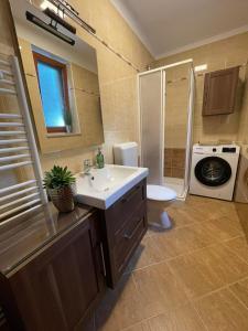 Koupelna v ubytování Apartman Stenice