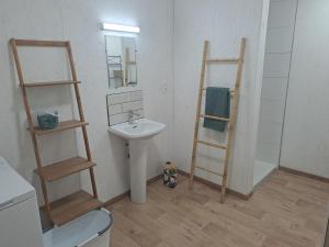W łazience znajduje się umywalka, toaleta i lustro. w obiekcie Gîtes Le Lilas - Lac de Pareloup w mieście Canet-de-Salars