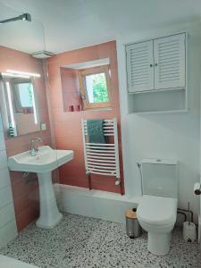 a bathroom with a white sink and a toilet at Gîtes Le Lilas - Lac de Pareloup in Canet-de-Salars