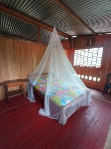 Bett in einem Zimmer mit Moskitonetz in der Unterkunft Hostal Búho Amazonas tours in Leticia