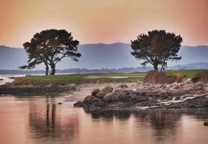 twee bomen op een golfbaan naast een waterlichaam bij Aires do mar in O Grove
