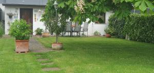 a house with a tree in the yard at Garden Apartment in Düsseldorf +9 photos