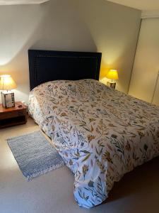a bedroom with a bed and two lamps and a rug at Appartement COSY rue Chaussée in Verdun +11 photos