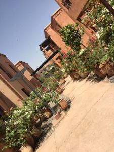 a group of flowers on the side of a building at Beach Mama Waky Marrakech Appartement Premium Piscine & Vue Atlas in Marrakesh