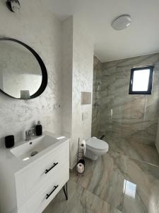 y baño con lavabo, aseo y espejo. en Casa Lucia, en Sibiu