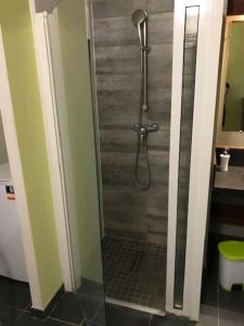 a shower with a glass door in a bathroom at Leu Corail in Saint-Leu