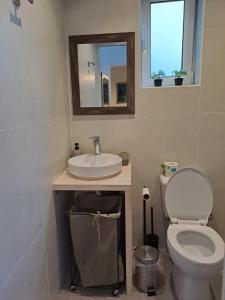 a bathroom with a toilet and a sink and a mirror at ANAFIS COZI in Athens