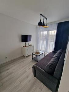 a living room with a couch and a tv at 60 - Apartamenty Siedlce - Nowy apartament w centrum przy ul 3 Maja 51a in Siedlce