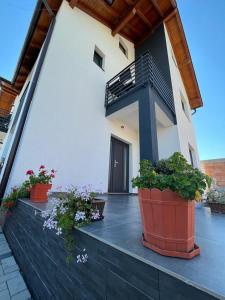 a balcony with potted plants on a house at Casa Lucia in Sibiu