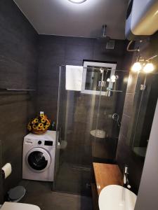 uma casa de banho com um chuveiro e uma máquina de lavar roupa em Apartman Jovana 2 em Belgrado