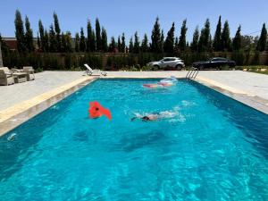 a person is swimming in a swimming pool at Villa Nour in El Jadida
