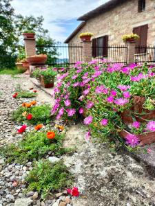 A garden outside L'oca Nera