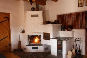 a living room with a fireplace in a room at Drevenica in Oščadnica