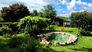 mały basen w środku ogrodu w obiekcie Peters House w mieście Iecava