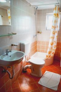 a bathroom with a sink and a toilet and a shower at Vila Sohodol Travel in Bran