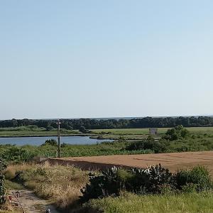 Φωτογραφία από το άλμπουμ του Alloggio Turistico Residenza Padovano σε Sperlonga