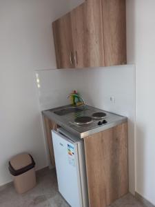Kuchyň nebo kuchyňský kout v ubytování Apartments kupi ul rudaj 41