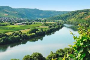 a river with a town in the distance at Ferienwohnung Moselsteig in Kesten