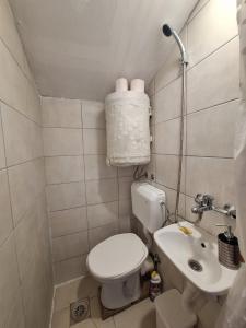 a small bathroom with a toilet and a sink at Bella Vista Apartment in Podgorica