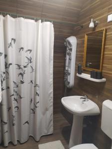 a bathroom with a shower curtain with birds on it at St. Kristóf Vendégház in Abádszalók