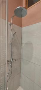 y baño con ducha con cabezal de ducha. en Chateau Monichot, en Tauriac