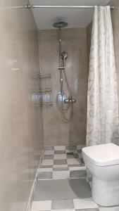y baño con ducha y aseo. en Est 1852 - Cozy, en Ándros
