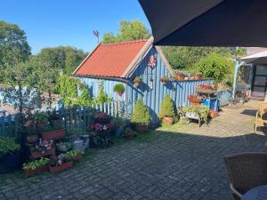 a garden with potted plants and a blue building at B&B De Eifelhoeve in Herresbach