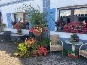 Zahrada ubytování B&B De Eifelhoeve