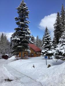 uma cabana de madeira na neve com uma grande árvore em The Gingerbread Cabin em Jasper