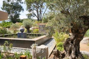 a garden with a fountain and a tree at Les Regalia Hôtel & Spa in Sainte-Lucie de Porto-Vecchio