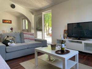 een woonkamer met een bank, een tv en een tafel bij Holiday House Dunamis in Krivodol