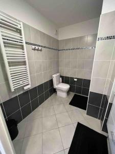 a bathroom with a toilet and a window at Beautiful flat with sunny balcony in heart of Nice Le Port in Nice