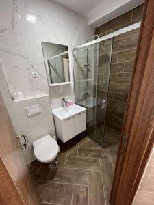 een badkamer met een toilet, een douche en een wastafel bij AMD Apartments in Bar
