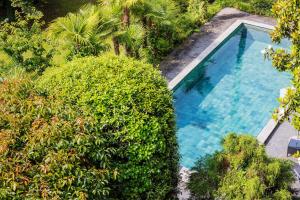 - une vue sur la piscine entourée d'arbres dans l'établissement Villa Magnolia - High standing floor, à Locarno