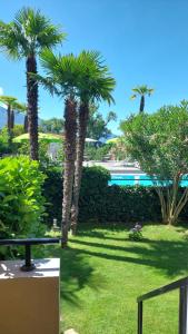 Bassein majutusasutuses Hotel Nessi Locarno või selle lähedal