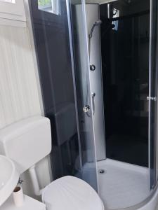 a bathroom with a toilet and a glass shower at Mobile Home Marta in Senj